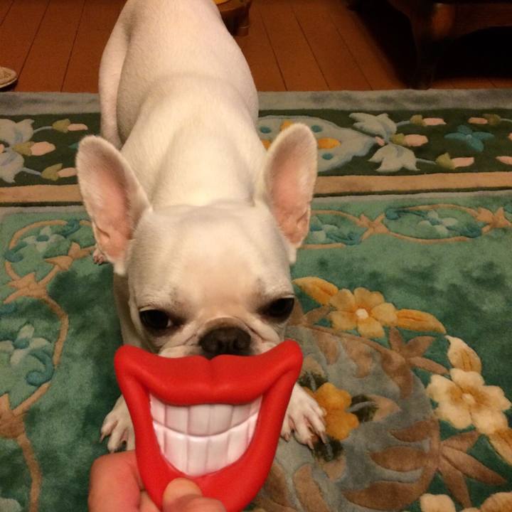 836c6226 f573 4f70 b6e7 7bde3530c3d7