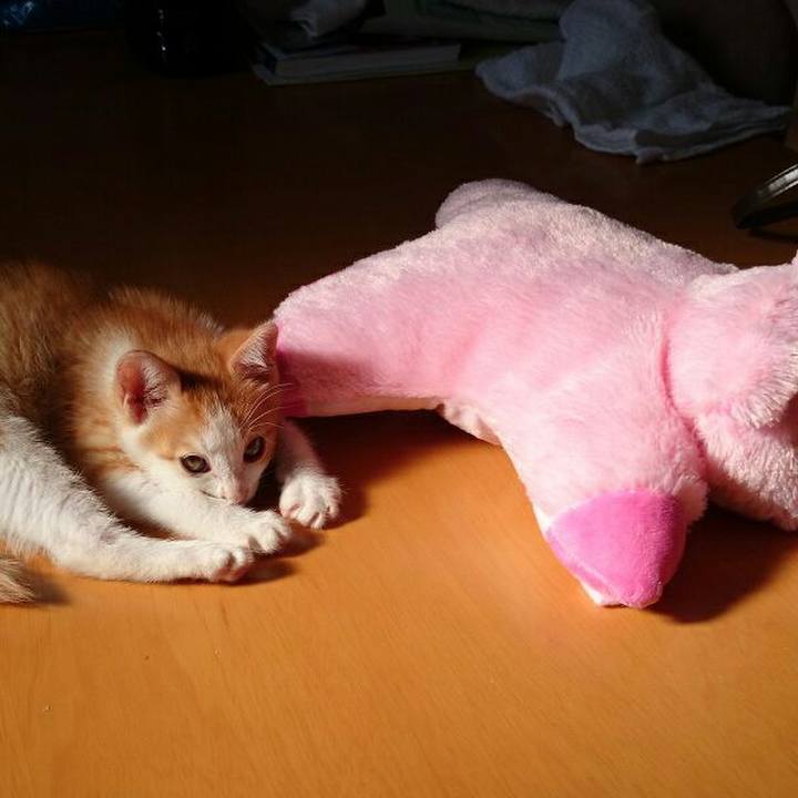 836c896d 2d24 4b09 b123 8008724a831b