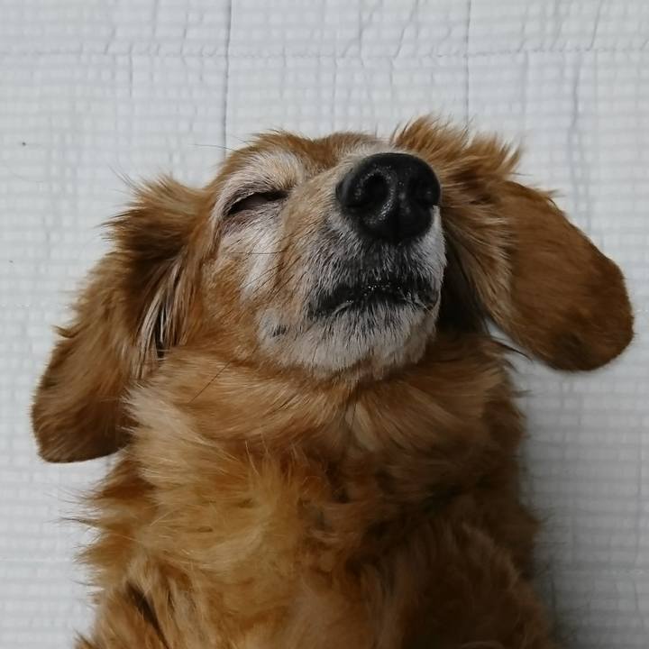 836ca693 303d 4e41 8bd5 2cd5333361c5