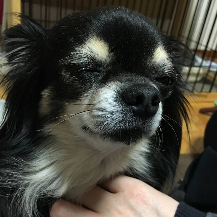 836caad2 2847 47ad 8242 23cca8815904