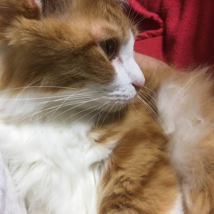 836cb0df f9e1 4269 be69 6c582fa4b8ba