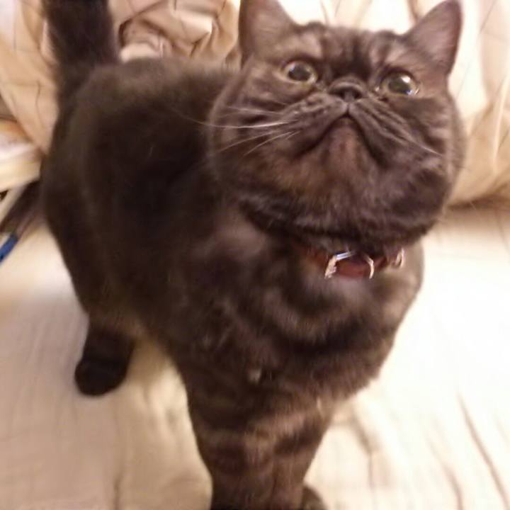 836d0931 83a1 4eeb 9bd1 428439bd69e3