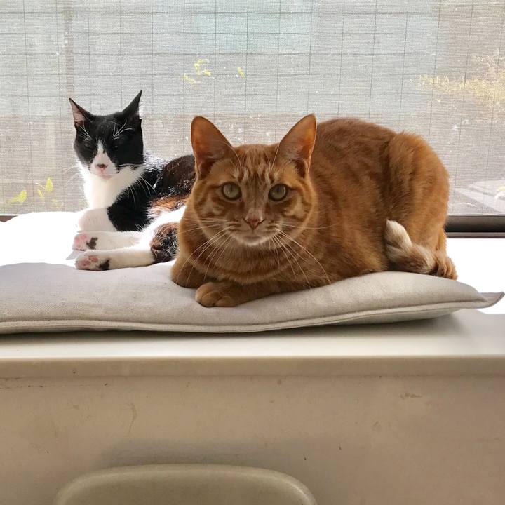 836d8d25 84aa 4251 b291 39241b148233