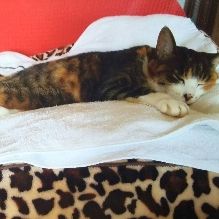 836e335e 45f4 4778 9642 e5e754d04ab9