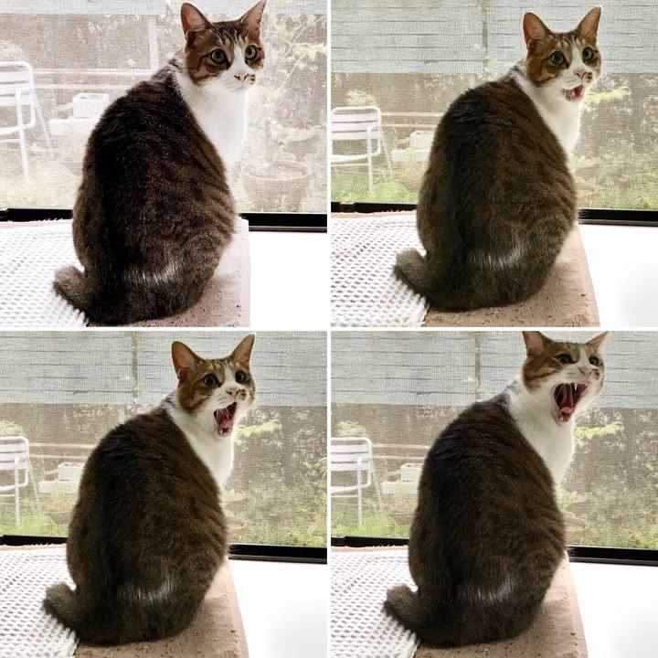 836e4b97 0df4 4e18 8d89 5703fb2a6c20