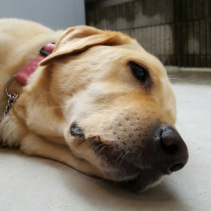 836e56ec 7d0c 42c5 80eb 749634231898