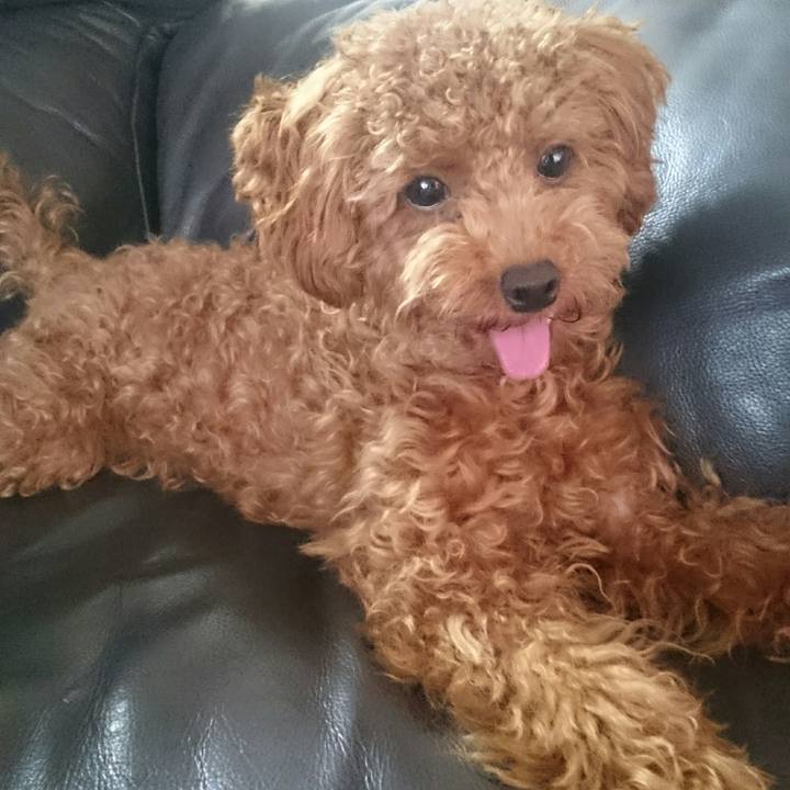 836e6065 5a6f 4b0f b55b 7ae0219efc51