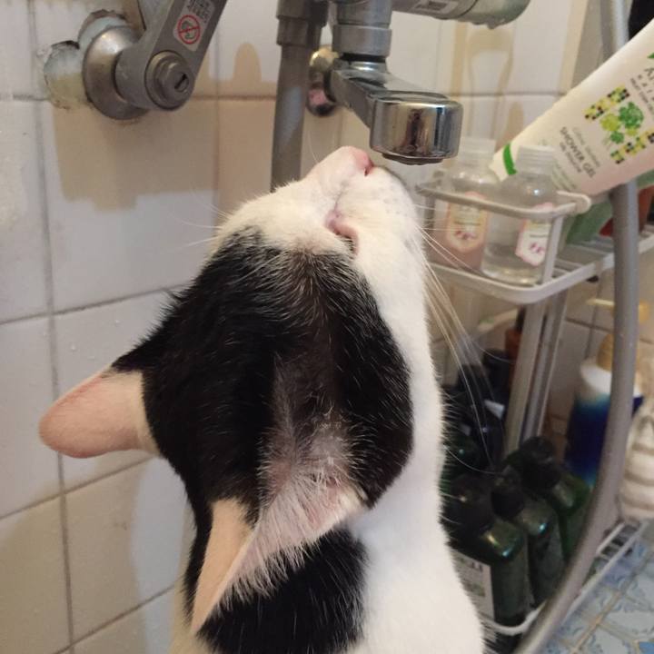 836eb7f0 9755 4855 bdea c1f25503c28e