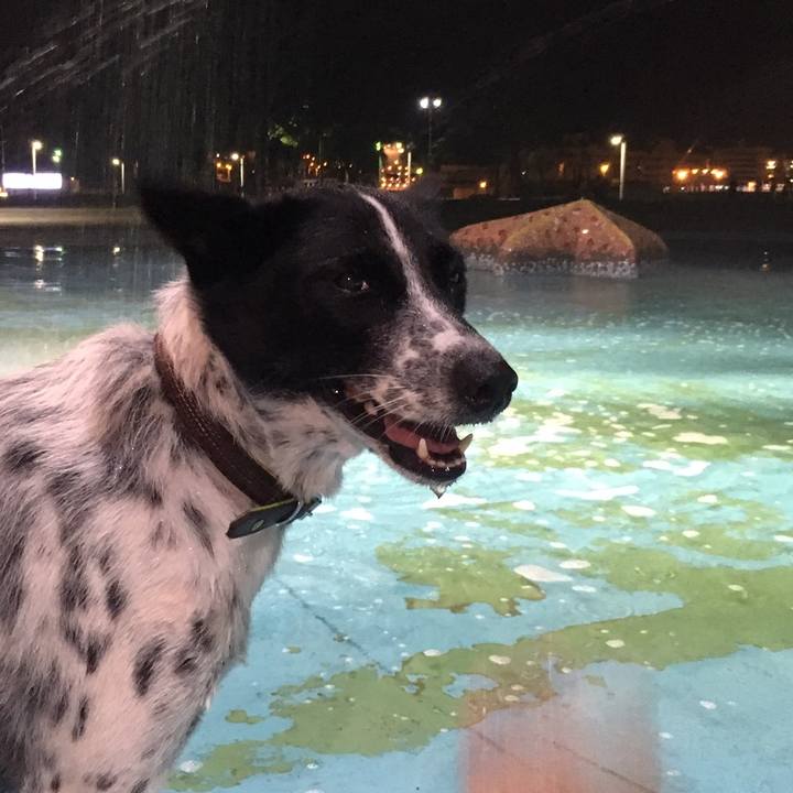 836ed190 cf24 4500 b6c1 7f33cdce2c50