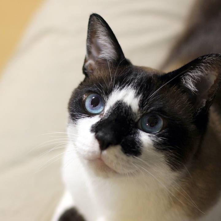 836f3654 316f 436e 9acd 8dc0bf1f2188