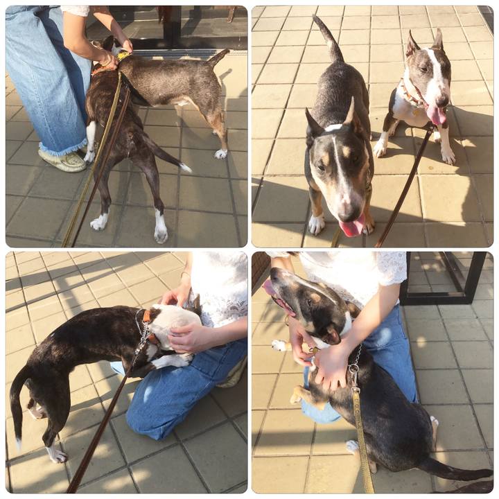 836f4a39 c8b9 4a79 8767 4ef16181382f