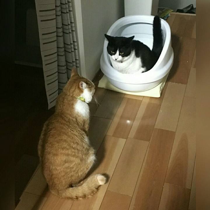 836f81ce f18b 4d31 8b59 0f0912107571