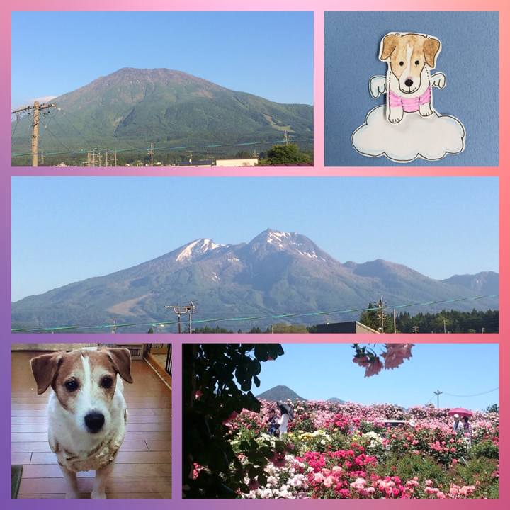 836ff79c c25c 4dc3 87a7 5fb4798e1862