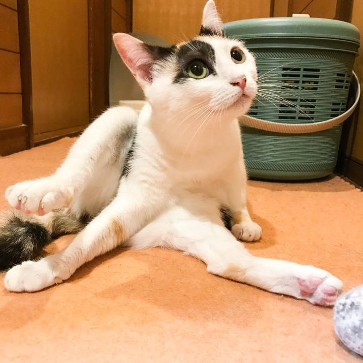 837043bc d7ae 42cb aead f4107df05256