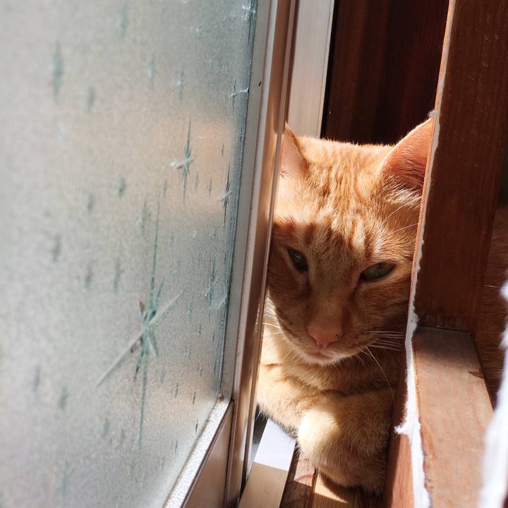 83707e09 ffb8 4b52 b21b 76a848e629b4