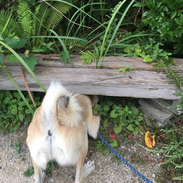 8370dfc8 3c18 416a ae58 1e4726843f23