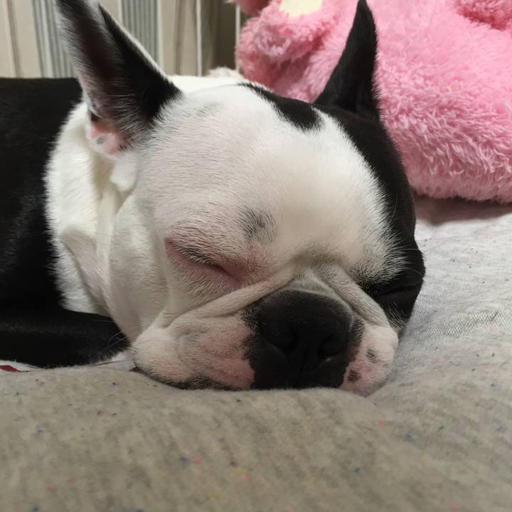 8370f461 17f1 44a2 811d 09c547eacee4