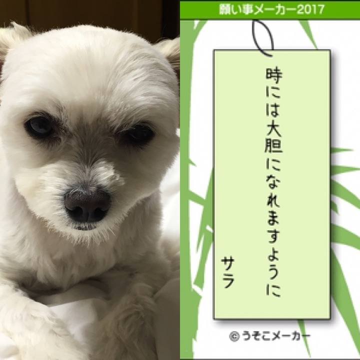 8371dc36 a23b 4f8c 8ca4 aa0ee40bf264