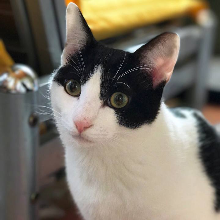 8371e665 409f 49ee 98cb a8772d1224dc