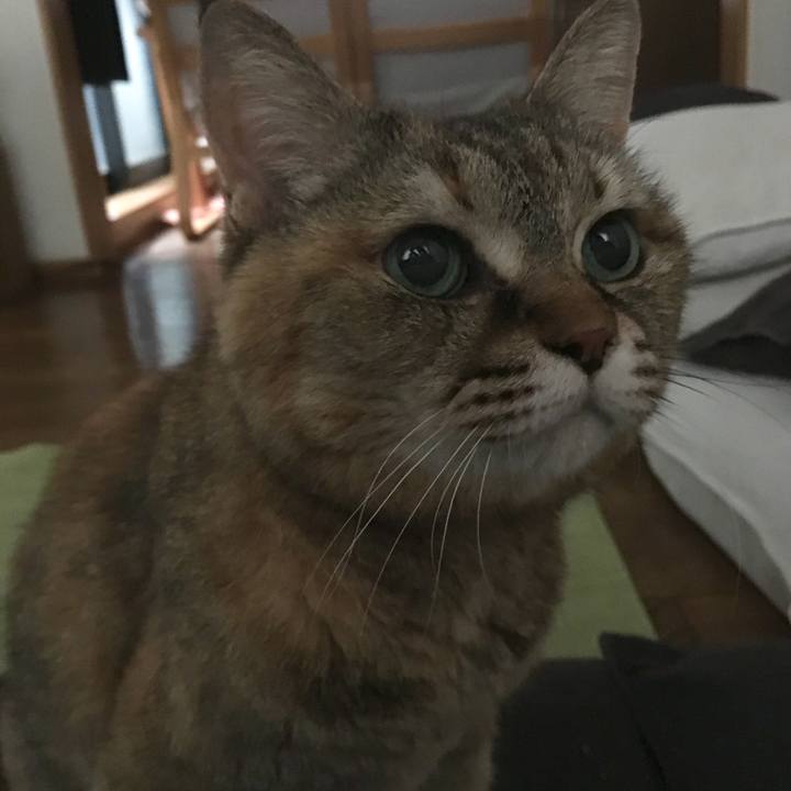 837204ff 7504 4503 a94e 0b0377182ce0