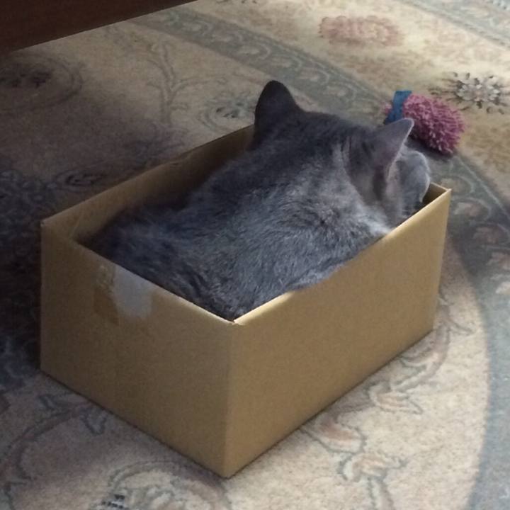 83725f23 7ac7 4cd5 a5fe 1be625785f69