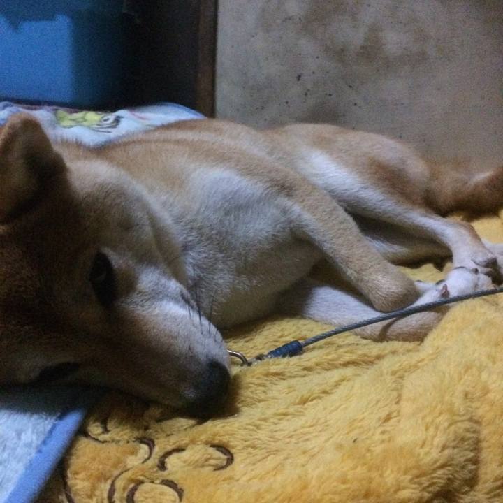 8372dbed b11d 4e13 889e e303c4320a3e