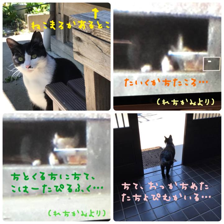 837309bb ea4b 41f6 9e53 a7f10a113eb5