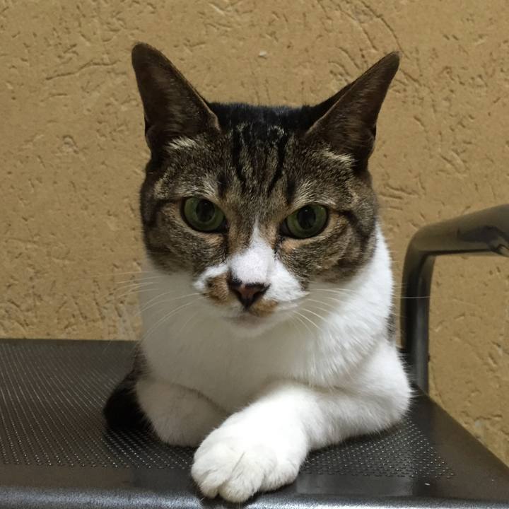 83738463 25a3 471b ae03 c2e376a8577a