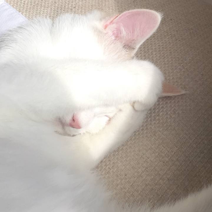 83742f09 d838 4859 837c 60882eed7923