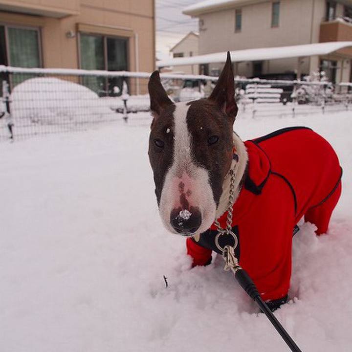 8374816f 79ce 4af7 92a2 1985bcbbfcd2