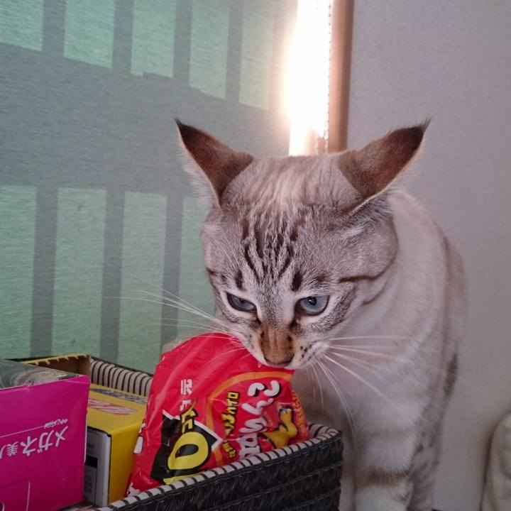 8374d0b6 b6ac 461d aac0 29b653c9e60d