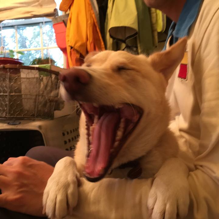 8374f7aa f083 46b5 9327 e2d431e3007f