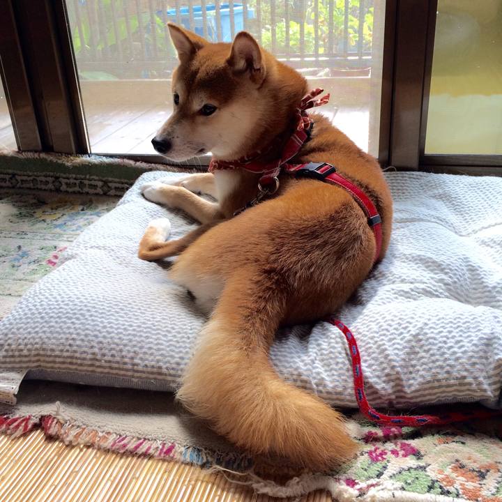 83751812 7733 4ba6 ac43 aaab01fe5e65