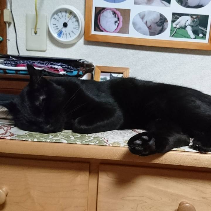 83752802 2ccf 4d7e 9f79 1eae7301c01c