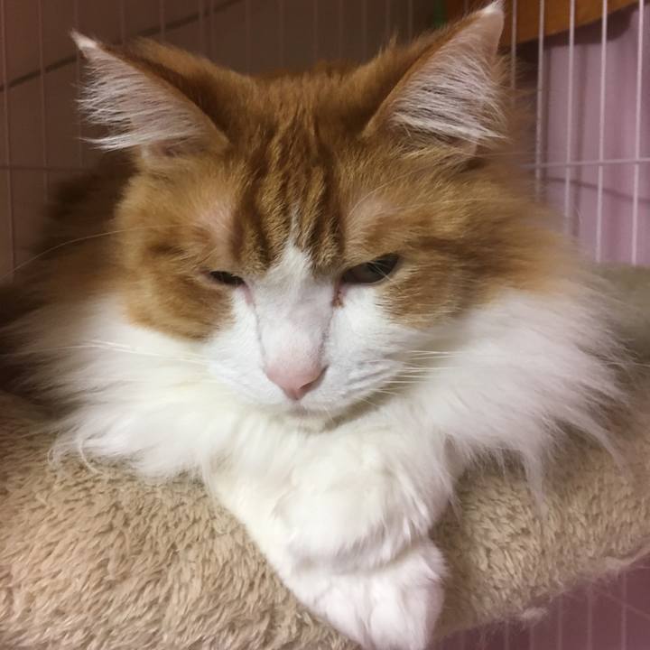 83754921 f085 482f 9dc3 d6b8d05666ce