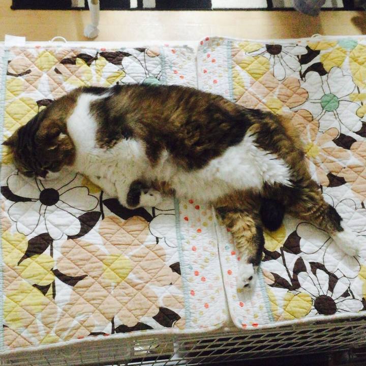 8375ddd0 d37a 4eea 8a8d fc9ddae56ef5