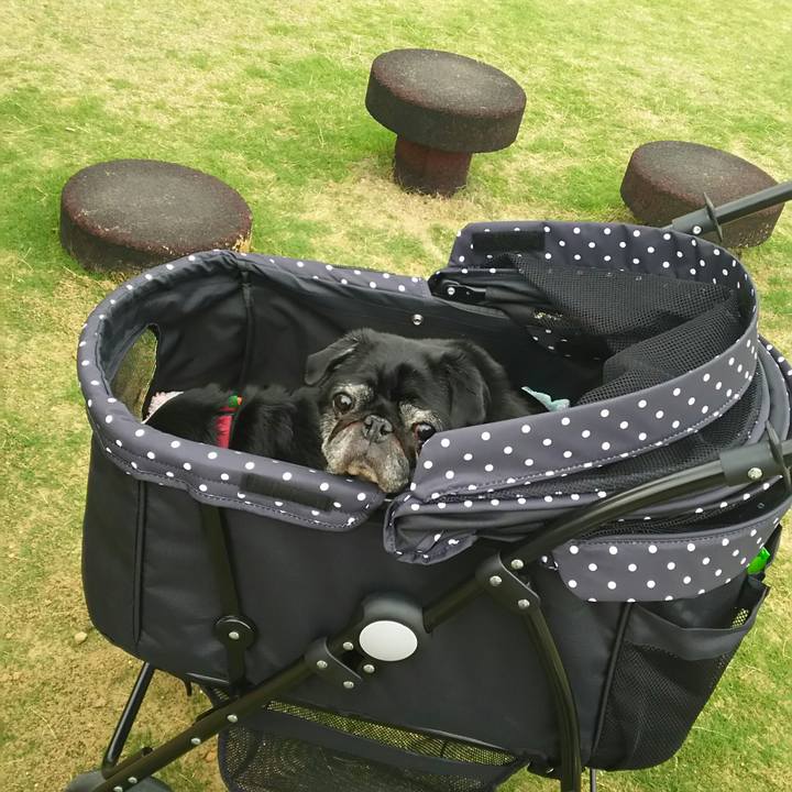 83774739 0a6b 4be1 8cff 710a231eba06