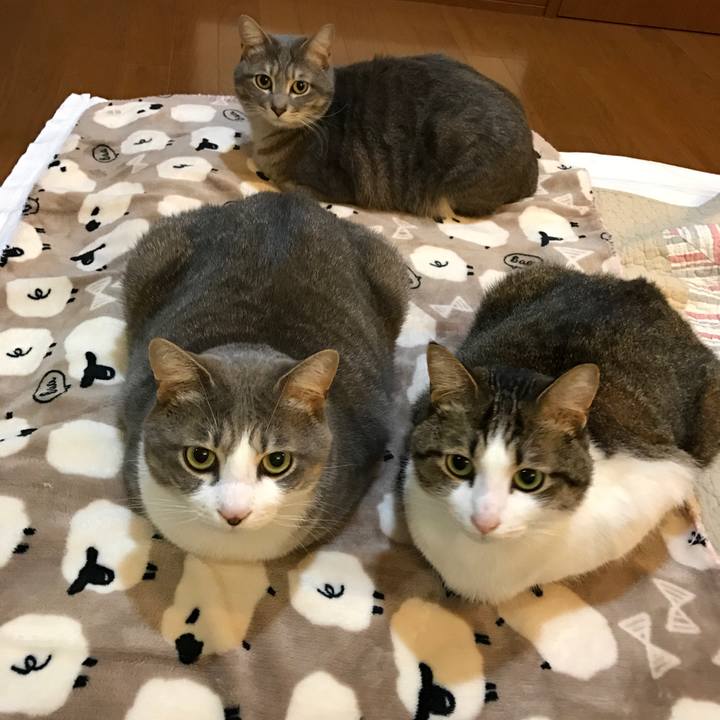 8377d87b 8968 4025 aa01 ade1f1ed07f9