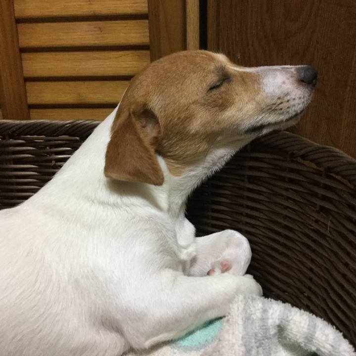 83780212 f9e6 4565 a6e8 f6c84a0a56fe