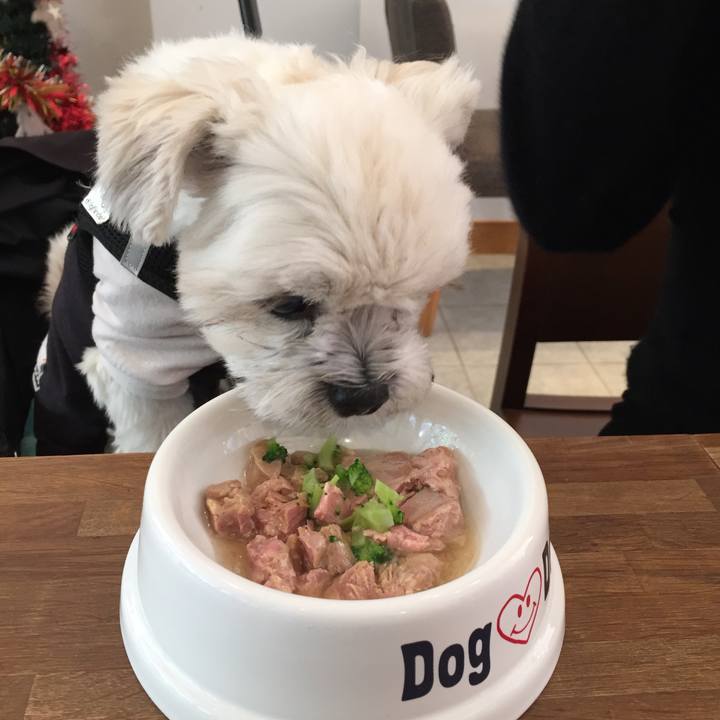 8378948f 777a 41dc bf84 1a6c167f8dda