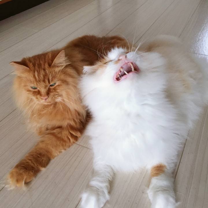 8378d2cb a357 4d39 b9fe 7b88360e2cfd