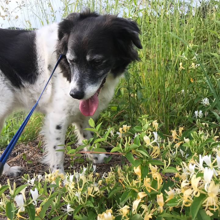 83797722 c23c 4293 96f1 3ef3d241f408