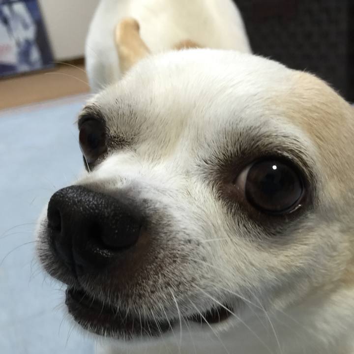 837987b0 7cbf 4823 8b75 41757ff4ee36