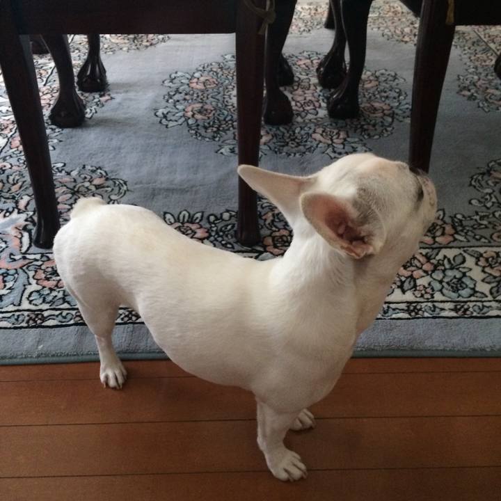 83798cab 6828 4b38 a204 11f50cf931ba