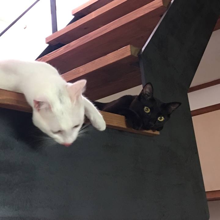 837a043c c192 47ea 9cdd 5eb32881c827