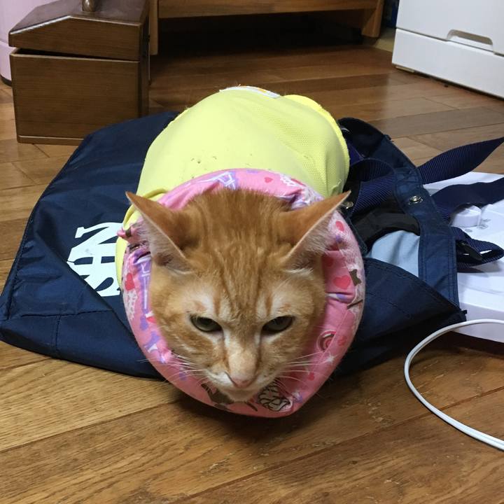 837abd44 bef5 48ee bf8b 90eb2313e355