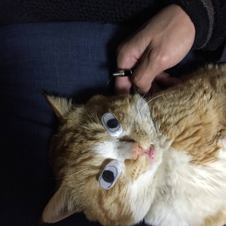 837bbd17 3308 4714 ac19 bd2678b838df