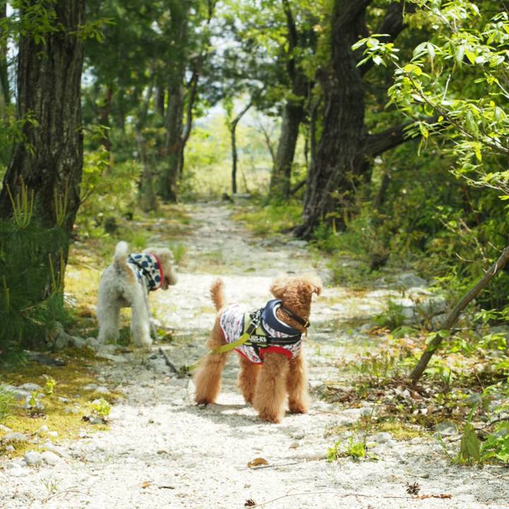 837c1a7b 1120 4f8b a5f4 225e72ad1dc2