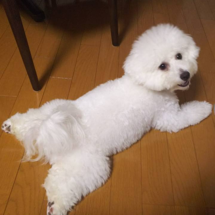 837c27b0 3344 47ae 8fa1 73f6a0f97426