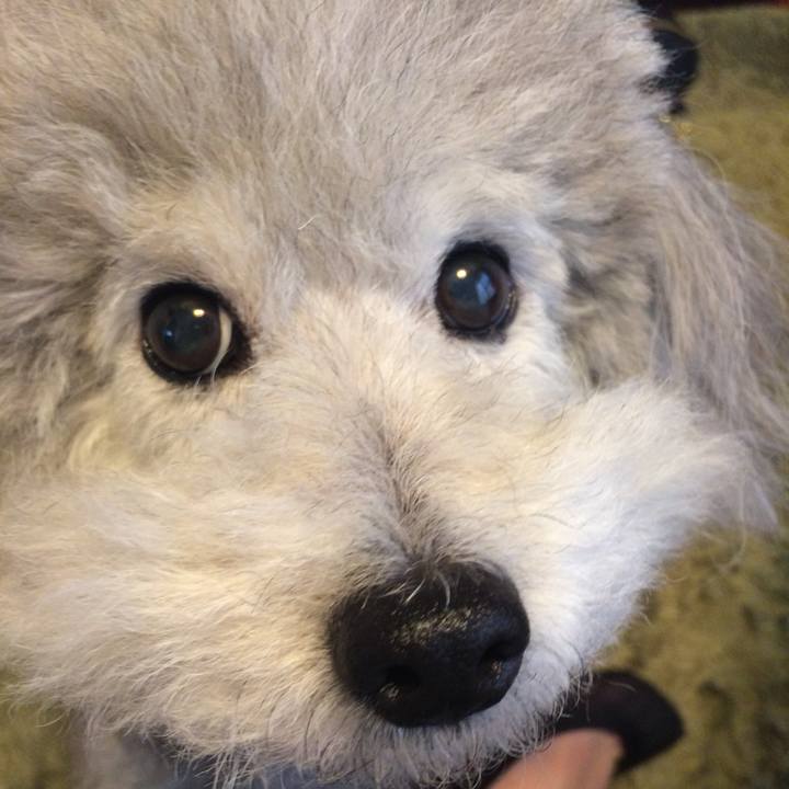 837c798b 46e8 4731 8b79 d73e478e490e